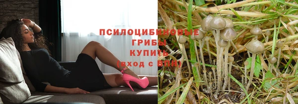 ешки Лабытнанги