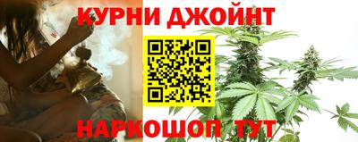 гашик Кандалакша