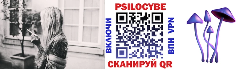 закладки  Черкесск  Псилоцибиновые грибы Psilocybe 