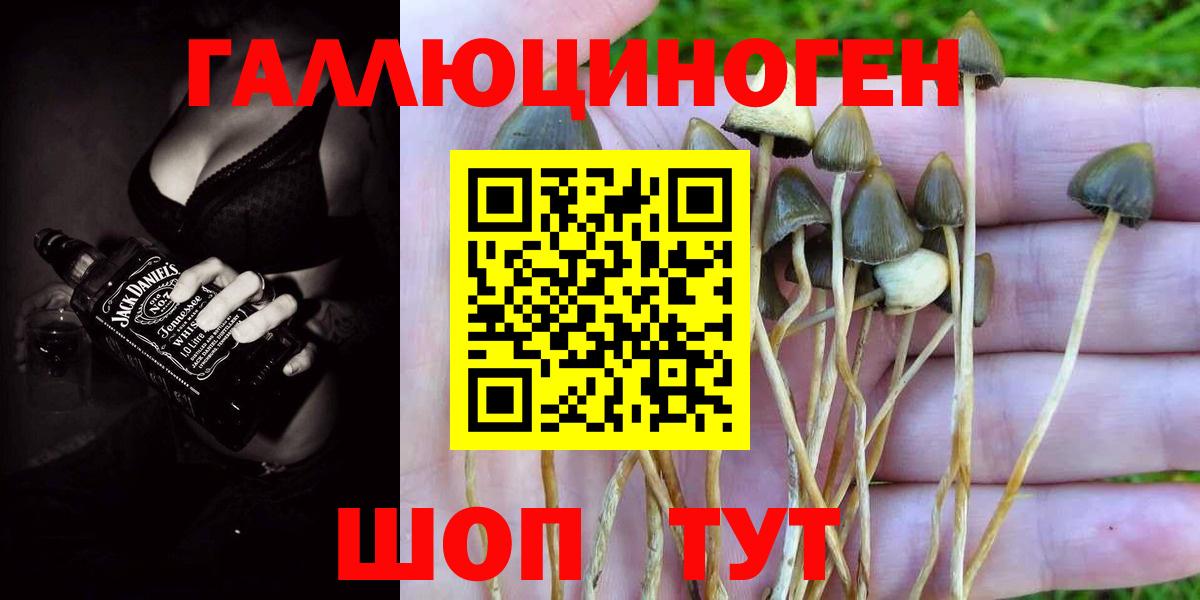 Псилоцибиновые грибы Magic Shrooms Черкесск