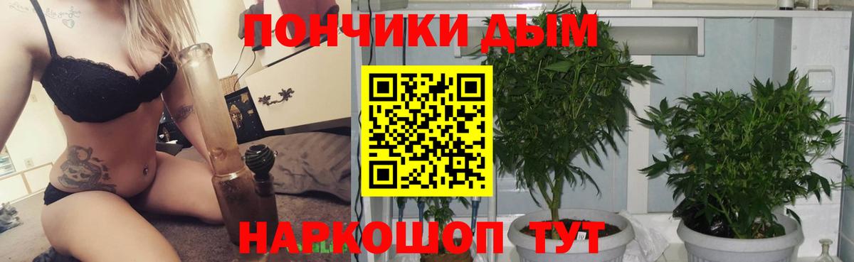 Шишки марихуана план  Бошки Шишки индика  Черкесск  Бошки марихуана OG Kush  Вход с VPN  Бошки марихуана конопля 